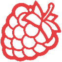 rasicon