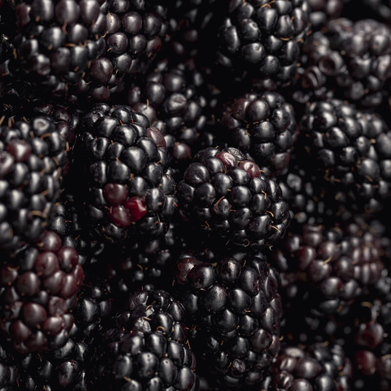 close-up-blackberries (1)