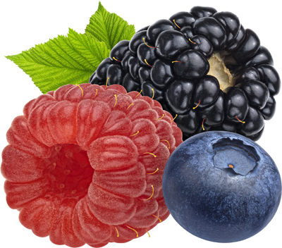berries
