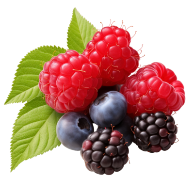 blackberry-raspberry-and-blueberry-ai-generative-free-png